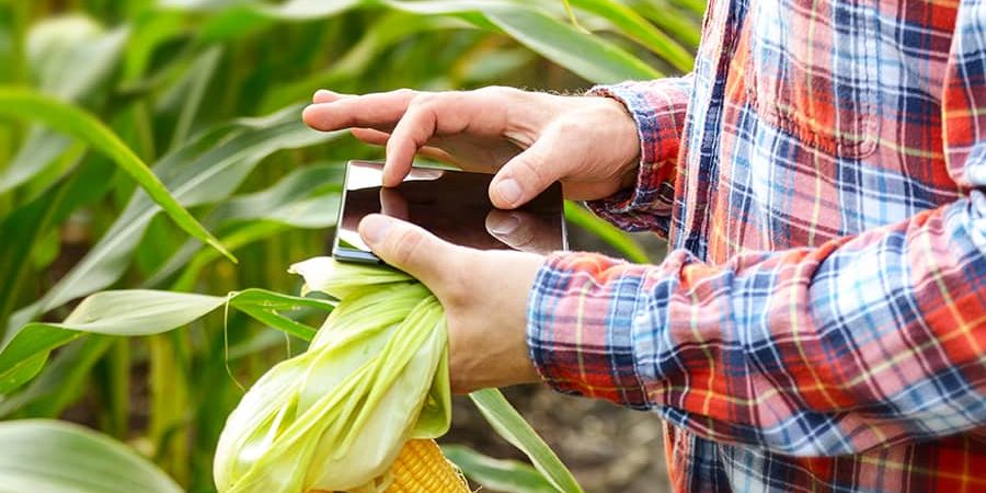 Como criar um Boletim de Colheita eficiente para maximizar a produção de sua plantação